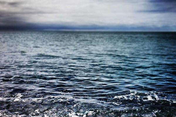 Project Management Tool